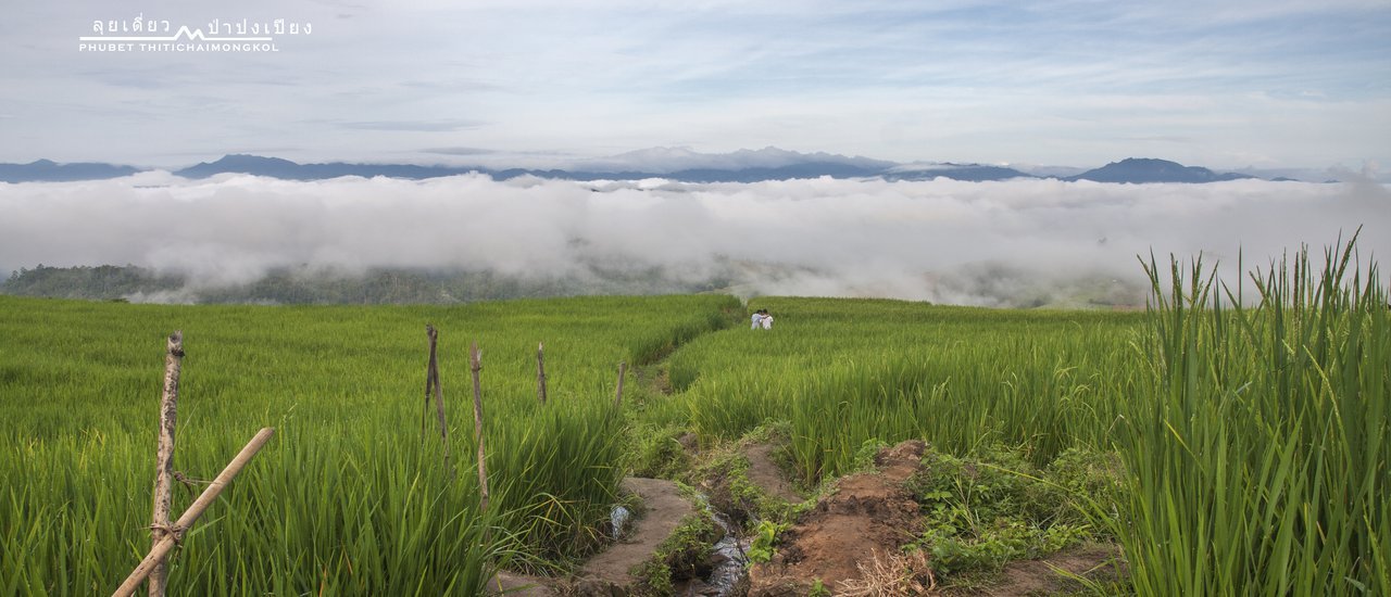 cover Embarking on a Solo Journey to Discover the Paradise of Baan Na, Pa Pong Piang Village, Mae Chaem District, Chiang Mai Province.