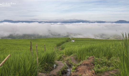Cover Embarking on a Solo Journey to Discover the Paradise of Baan Na, Pa ...