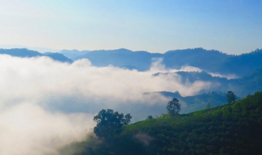 cover This page... at... Phu Huay E-San - Chiang Khan :)