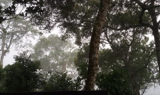 cover Kaeng Krachan and the legendary papaya salad on July 30-31, 2016.