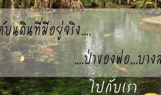 Cover A heaven on earth that truly exists... the King's forest... Bangsai....