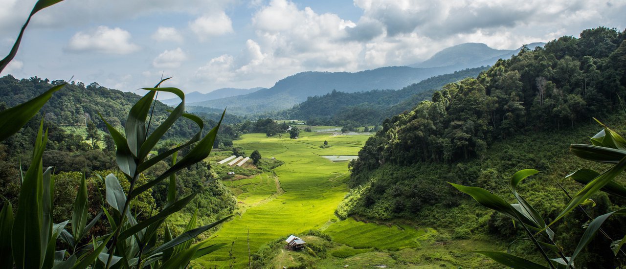 cover Bamboo Pink House: "A Journey to the Land of the Kayan" - A Place of a Hundred Ambiences