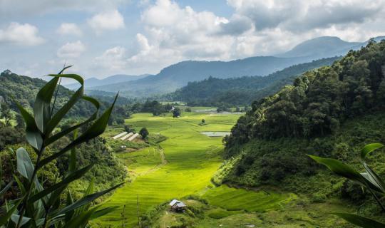 Cover Bamboo Pink House: "A Journey to the Land of the Kayan" - A Place of...