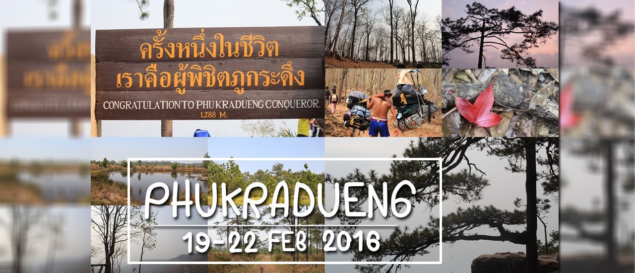 cover Backpack 43 kilometers on Phu Kradueng in 3 days and 2 nights (with 1,500 baht)