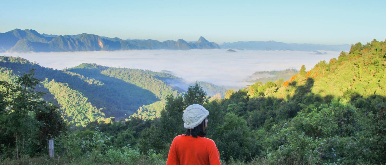 cover This winter... let's go find a sea of fog at "Mae Mai" | Pack your bags