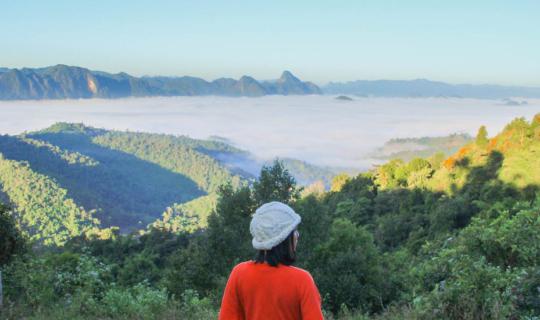 Cover This winter... let's go find a sea of fog at "Mae Mai" | Pack your b...