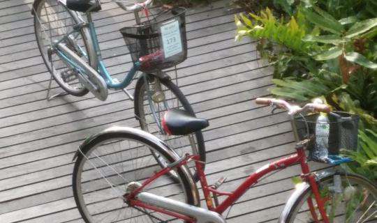 cover Cycling in Bang Krachao: Breathe in the fresh air near Bangkok