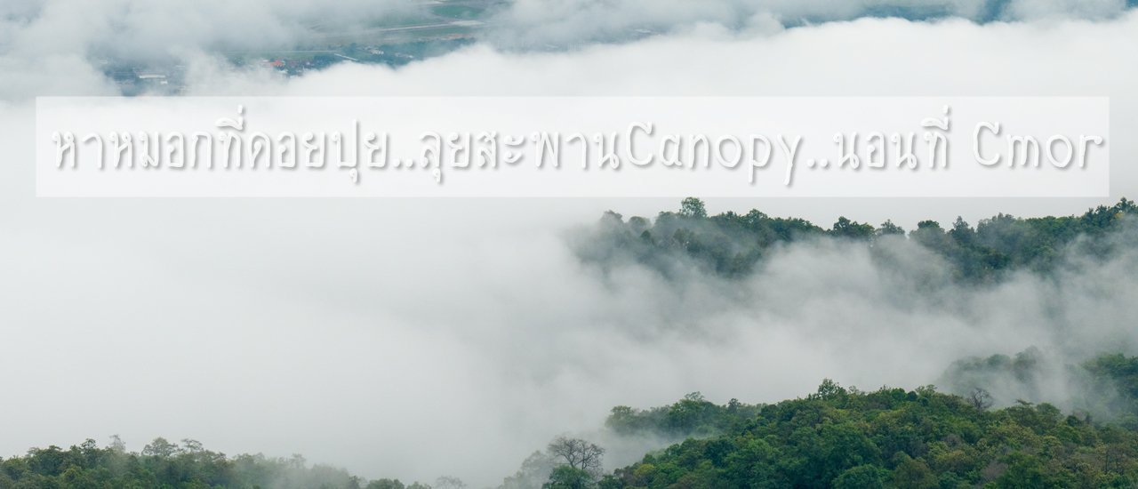 cover Seeking Medical Attention at Doi Pui, Traversing the Canopy Bridge, and Resting at Cmor