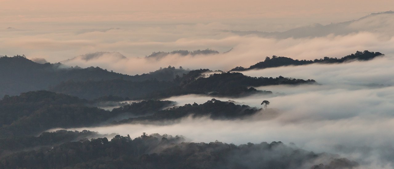 cover Driving to Chiang Mai for a vacation... why am I only encountering the sea (of fog)?