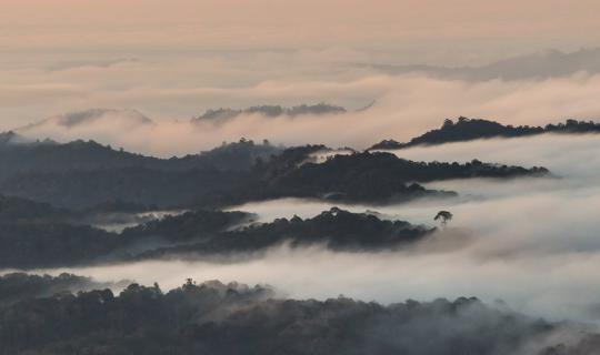 cover Driving to Chiang Mai for a vacation... why am I only encountering the sea (of fog)?