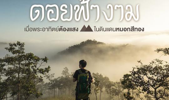 cover Lost in the Wilderness #10: Packing a Backpack and Embarking on a Journey to 'Heaven' at Doi Fangam... Where the Sun Meets the Light in the Land of Golden Mist