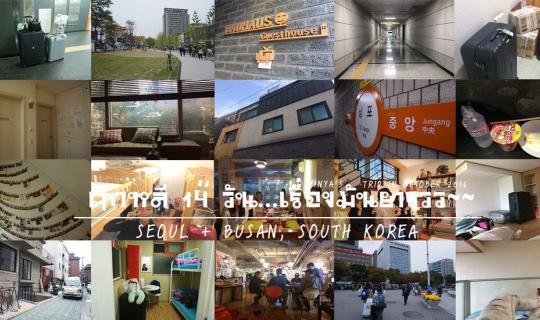 Cover [Review of Korean Accommodation for 14 Days] When My Booking Was Can...