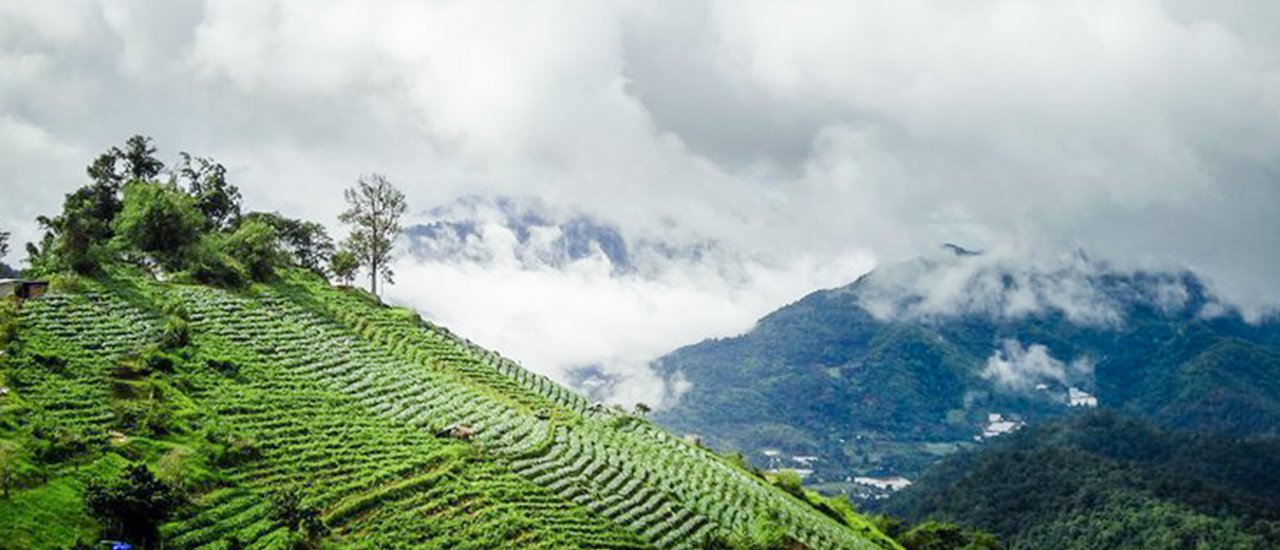 cover ฝึกงาน & เที่ยว ไปพร้อมๆกัน ในเวลา 2 เดือนที่ "เชียงใหม่" (ภาค 2)