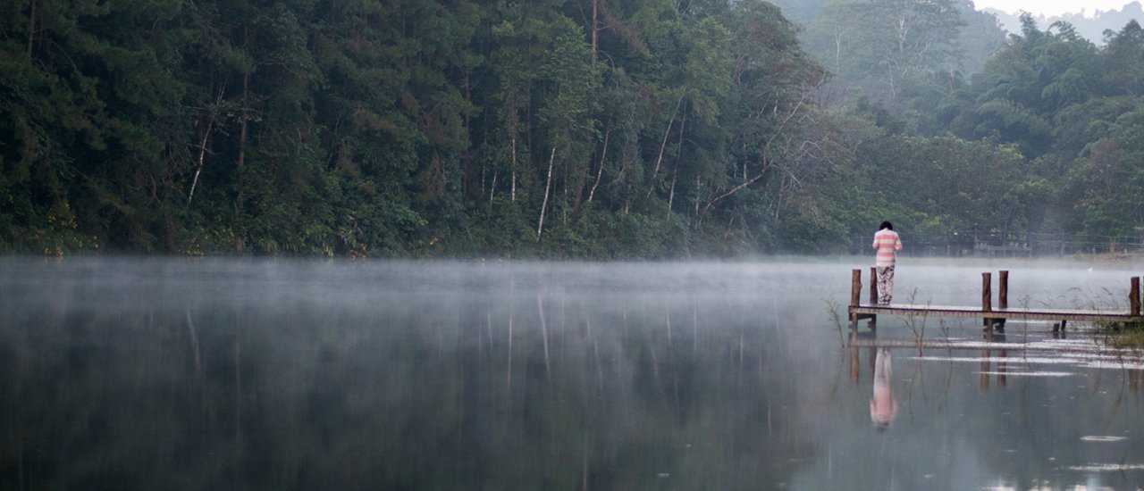 cover Exploring Mae Hong Son on a Motorcycle: Chasing Wildflowers and Camping at Pang Ung