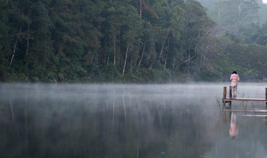 Cover Exploring Mae Hong Son on a Motorcycle: Chasing Wildflowers and Camp...