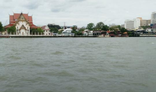 Cover One-Day Trip: Admiring the Chao Phraya River, Paying Respects at Wat...