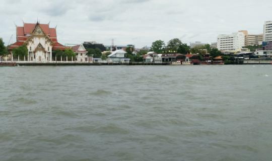cover One-Day Trip: Admiring the Chao Phraya River, Paying Respects at Wat Rakhang, Strolling Through Wang Lang Market, and Capturing Images at Tha Maharaj