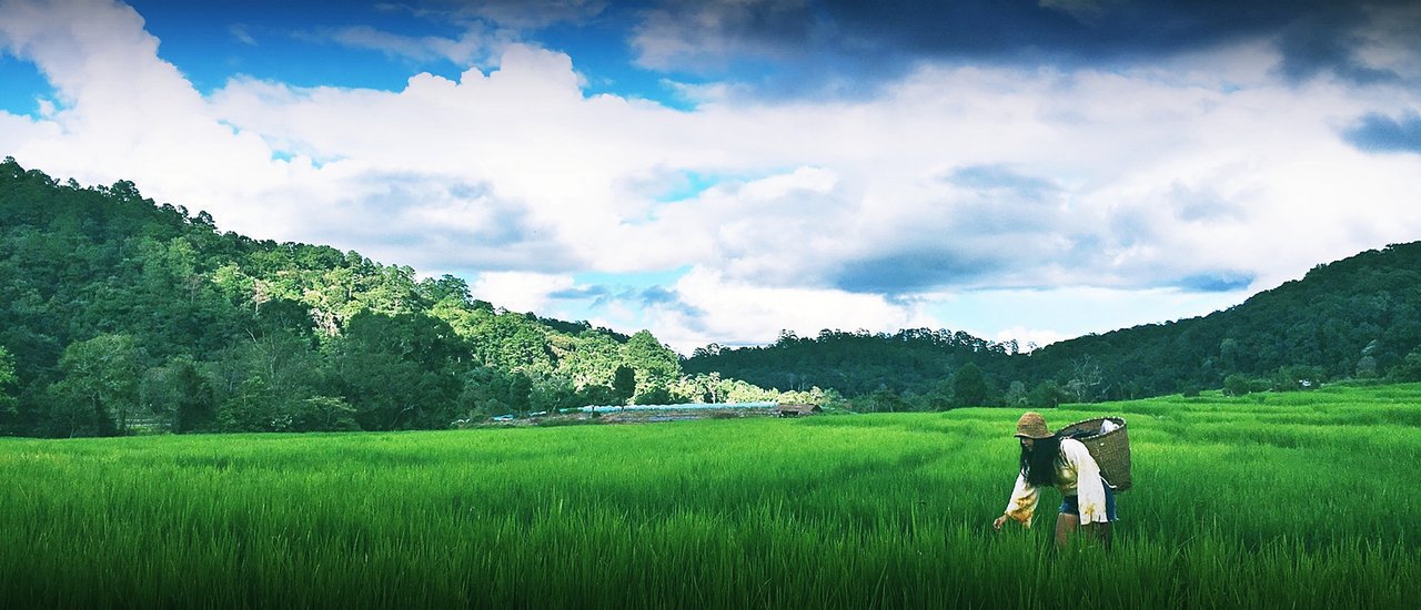 cover A small village in the valley "Ban Mae Klang Luang"