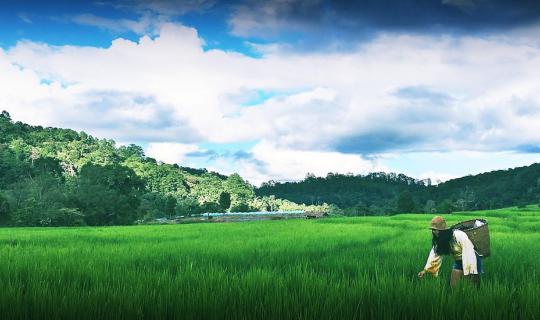 Cover A small village in the valley "Ban Mae Klang Luang"...