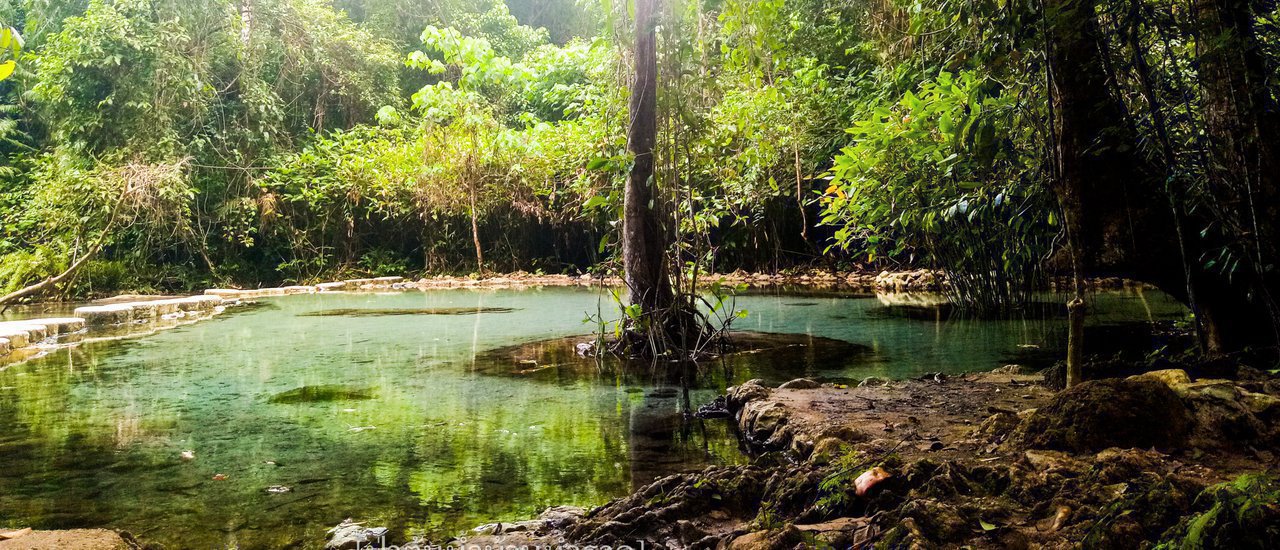 cover "Let's go on a trip together with Mr. Sunglasses" (Pa Ton Nam Ban Nam Rad) @Surat Thani.