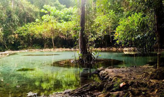 cover "Let's go on a trip together with Mr. Sunglasses" (Pa Ton Nam Ban Nam Rad) @Surat Thani.