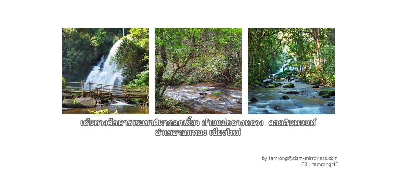 cover Nature Study Trail at Pha Dok Siew Waterfall, Doi Inthanon National Park, Chom Thong District, Chiang Mai