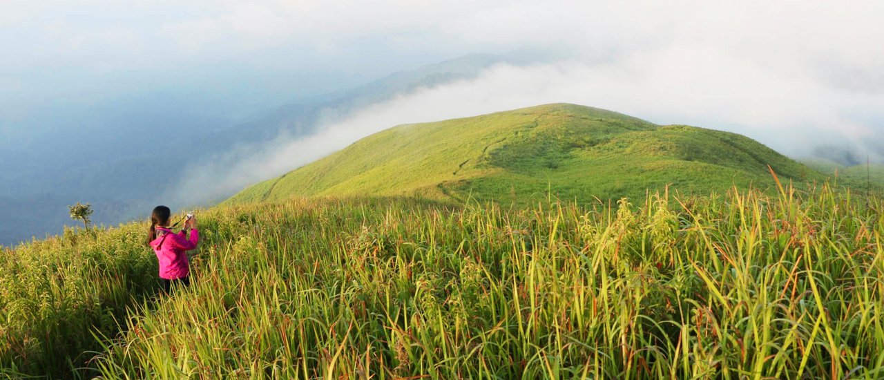 cover "Royal Medicinal Garden" in Nan Province, Thailand: Where the Road Ends | เก็บกระเป๋า