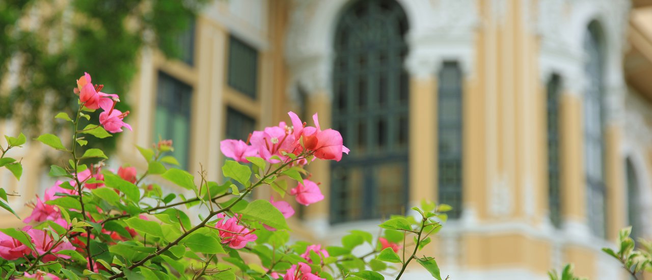 cover The Enchanting Bang Khun Phrom Palace