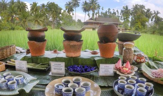 cover Free days to learn about organic farming and cook fresh food from an organic garden near Bangkok.