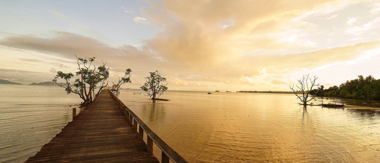 cover Visiting the Long Wooden Bridge at Koh Mak Cinnamon Art, Birdwatching Lunch, Black Sand Beach, and the Celebrity Coconut Tree 🌴 🦅 🏖️ 🥥