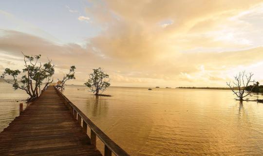 Cover Visiting the Long Wooden Bridge at Koh Mak Cinnamon Art, Birdwatchin...