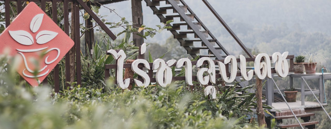 cover Lush greenery and cool air await at Uncle Dech's Tea Plantation in Mae Taeng District, Chiang Mai.