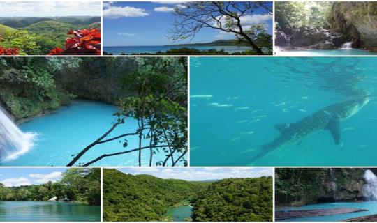 Cover Swim with whale sharks, Canyoneering Kawasan Falls 3 days 2 nights a...