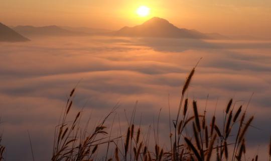 Cover This trip is "right on"...