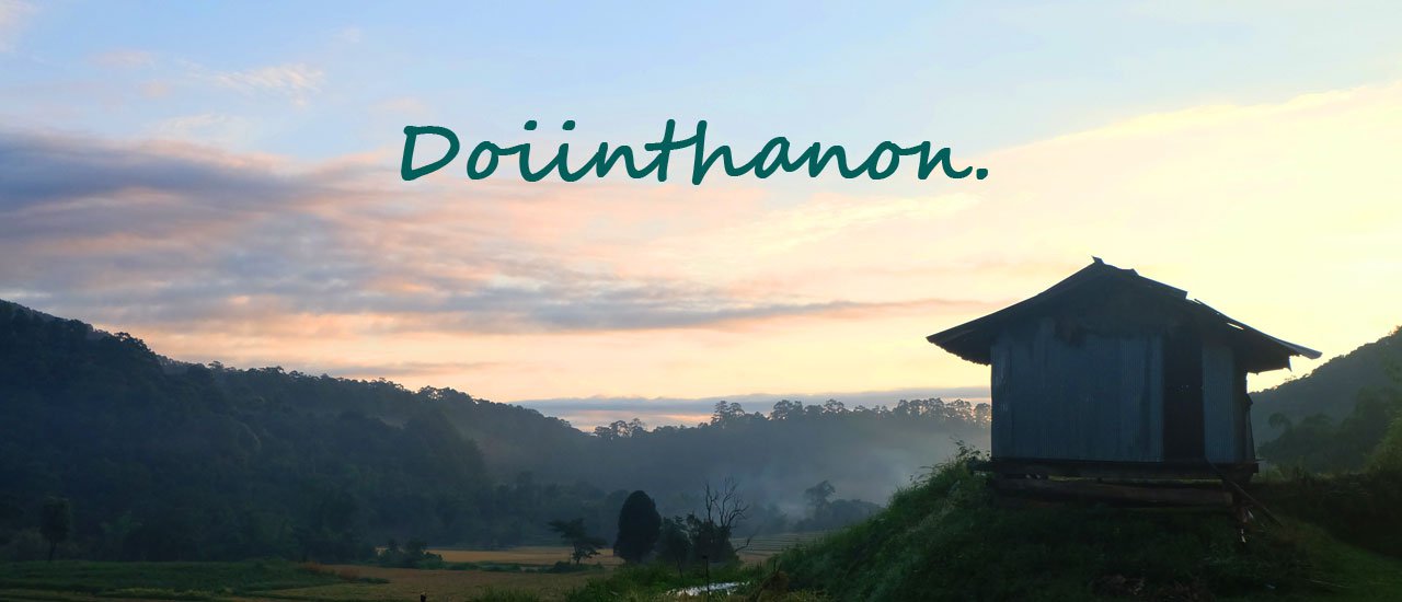 cover A Solo Female Backpacker's Adventure in Chiang Mai: "Riding a Motorbike Up Doi Inthanon"