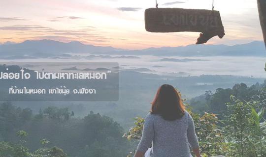 cover "Let your heart go in search of the sea of mist" at Baan Nai Mok, Khao Khainui, Phang Nga Province.
