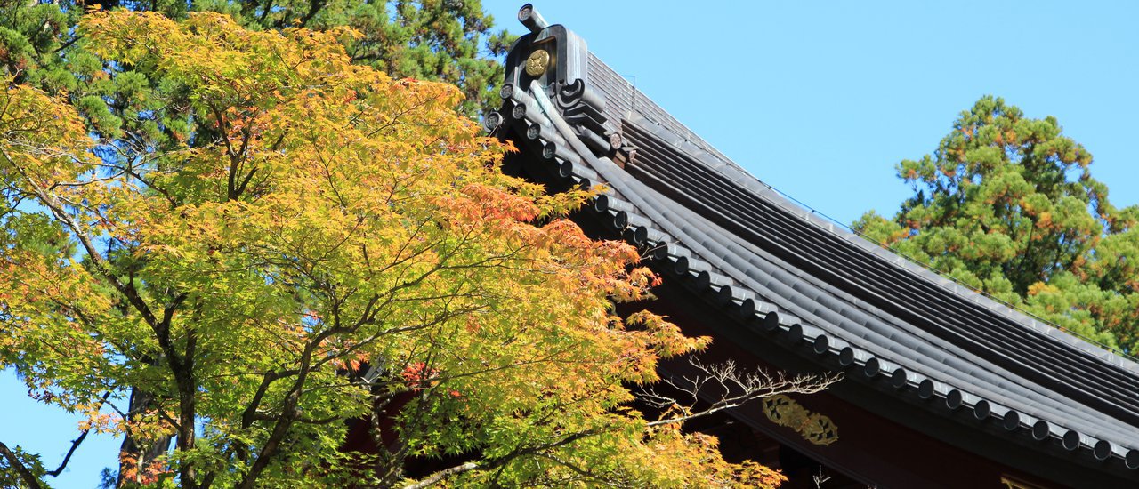 cover "Travel everywhere, for fear of missing out."
Japanese:日光は日本です (Nikko wa Nippon desu)