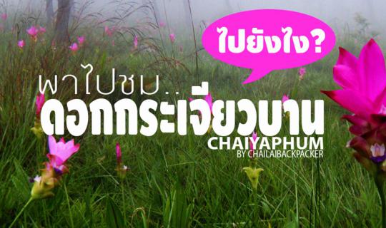 cover The Blossoms of the Siam Tulip: Pink Blooms in Rainy Season