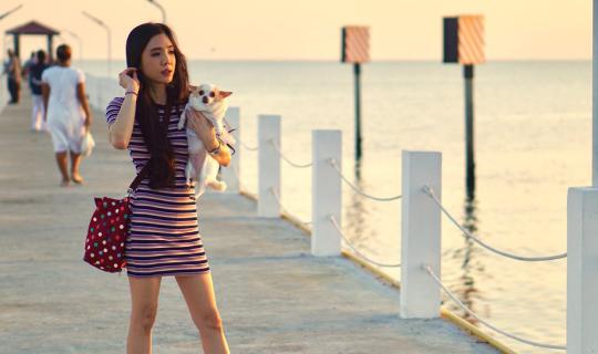 cover Watching Seagulls at "Khlong Takok" - Who is Takok? And where is the canal?