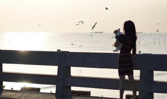 Cover Bang Pu: A Place for the Soul
"Bang Pu" evokes a sense of peace and...