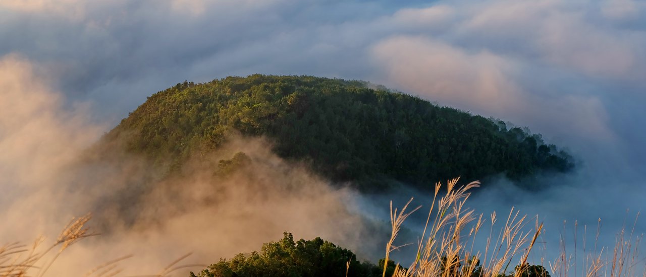 cover Explore the Enchanting Land of Yala: A Journey to Ayerweng