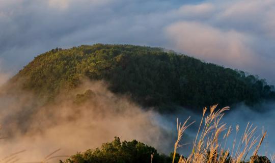 Cover Explore the Enchanting Land of Yala: A Journey to Ayerweng...