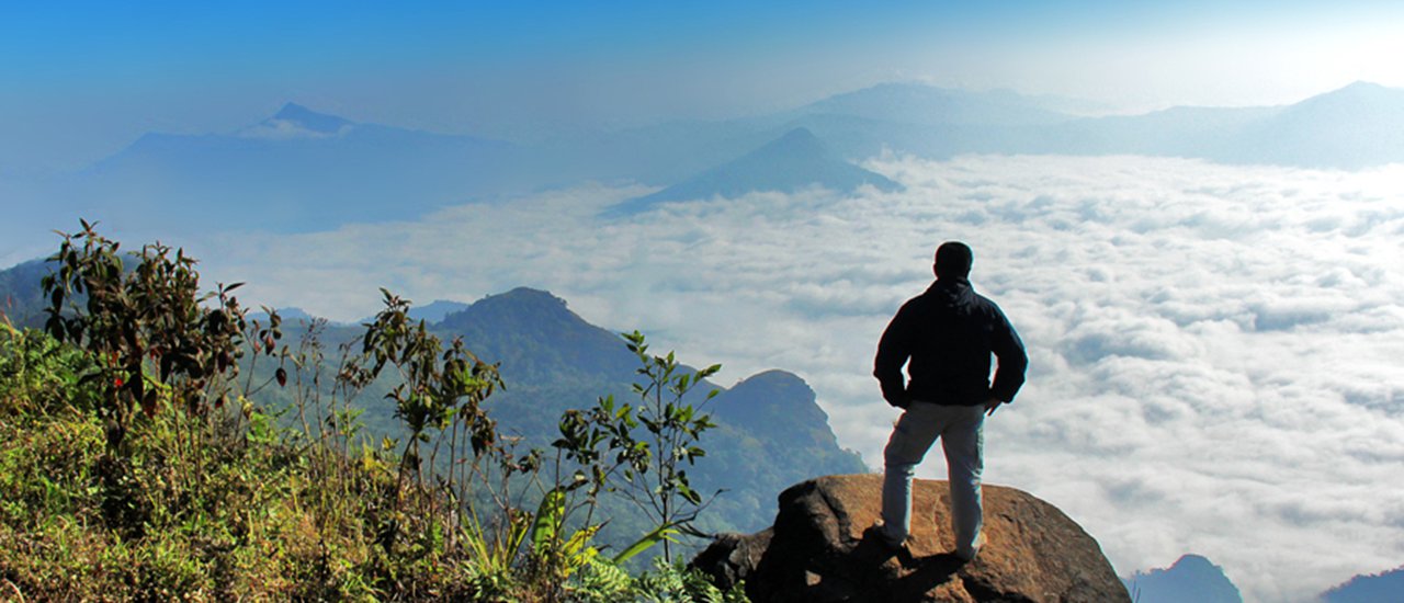 cover #BlackVioletReview # "Phu Sang - Phu Fa Thai - Phu Chi Fa - Phu Chi Moon - Doi Pha Tang" The dream route, the heaven of Doi Pha Mon