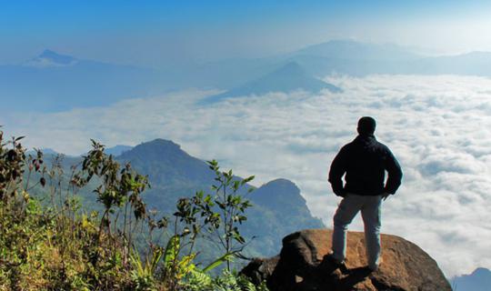 cover #BlackVioletReview # "Phu Sang - Phu Fa Thai - Phu Chi Fa - Phu Chi Moon - Doi Pha Tang" The dream route, the heaven of Doi Pha Mon