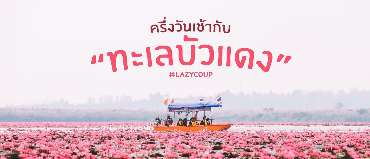 cover << Lazy Coup >>: A Half-Day Morning with the Red Lotus Sea in Udon Thani 🌸🌷🌺