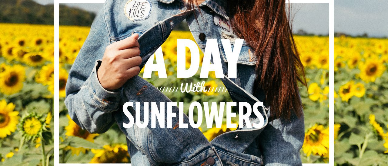 cover << Lazy Coup >> A Day With Sunflowers @ Manee Sorn Farm, Khao Yai