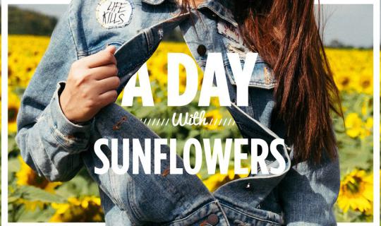 Cover << Lazy Coup >> A Day With Sunflowers @ Manee Sorn Farm, Khao Yai...