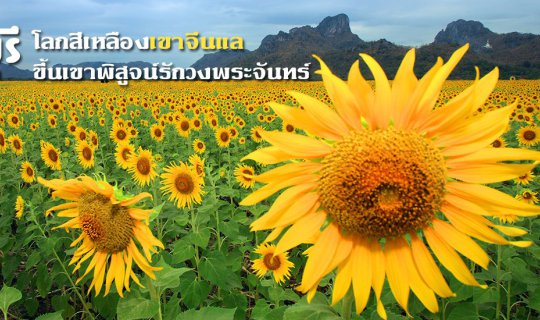 Cover Lopburi: A World of Yellow at Khao Chin Lae, Climbing the Mountain t...