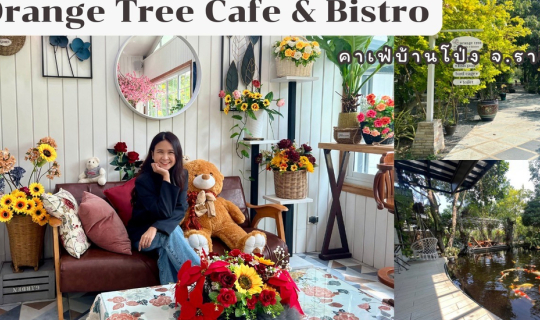 cover Orange Tree Cafe & Bistro คาเฟ่บ้านโป่ง จ.ราชบุรี