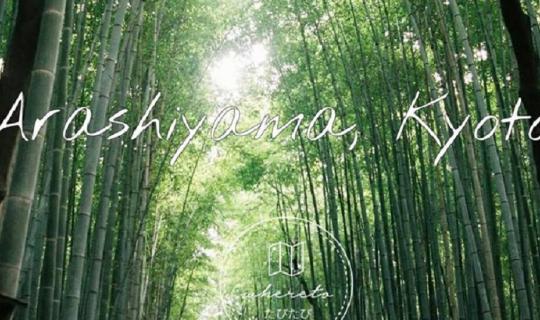 Cover Carrying a Film Camera in Japan: A Stroll Through Arashiyama (Kyoto)...